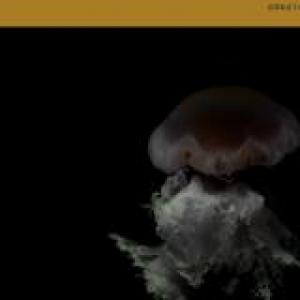 AT THE CLOSE OF EVERY DAY - MONSTERS