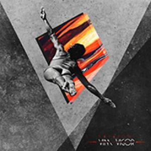 NAVARONE - VIM AND VIGOR -LTD-