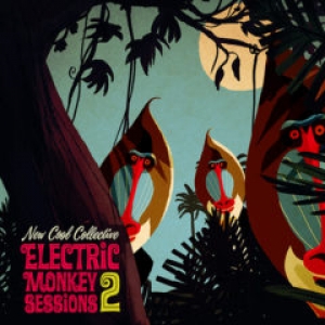 NEW COOL COLLECTIVE - ELECTRIC MONKEY SESSIONS 2