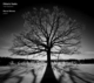 WORMS, MARCEL - VASKS - THE SEASONS