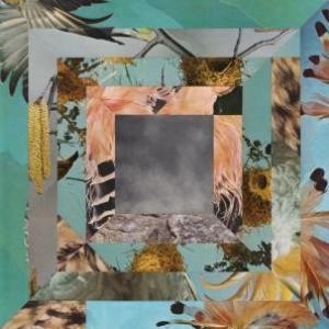 HALF WAY STATION - DODO