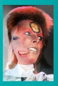 ROCK, MICK BRACEWELL/HOSKYNS - RISE OF DAVID BOWIE 1972-1973