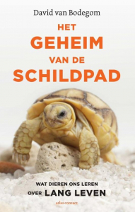 BODEGOM, DAVID VAN - HET GEHEIM VAN DE SCHILDPAD