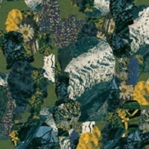 HORSE COMPANY - CALYPSO