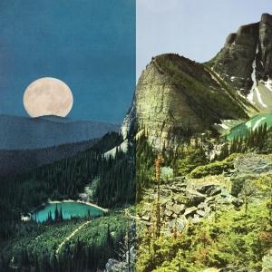 BLACK OAK - EQUINOX