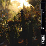 EVERYTHING NOT SAVED WILL BE LOST - PART 22, FOALS, CD, 0190295394639