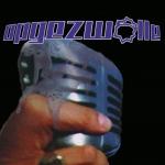 SPUUGDINGEN OP DE MIC (LTD.ED.), OPGEZWOLLE, LP, 0602547738554