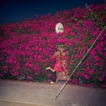PLEASURE, FEIST, CD, 0602557397826
