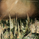 FOREVER TURNED AROUND (FOREST BARK), WHITNEY, LP, 0656605037738
