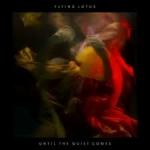 UNTIL THE QUIET COMES, FLYING LOTUS, LP, 0801061023010