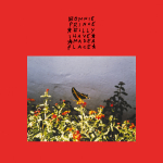 I MADE A PLACE, BONNIE PRINCE BILLY, CD, 0887828046522