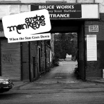 WHEN THE SUN GOES DOWN, ARCTIC MONKEYS, 7", 0887829021672