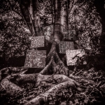 HARMONY OF DIFFERENCE, WASHINGTON, KAMASI, CD, 0889030017123