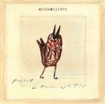 SPIKKELLICHT, PROJECT LAWAAIWATER, CD,
