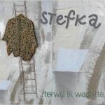 TERWIJL IK WACHTTE, STEFKA, CD, 9789082054507