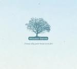 I KNOW WHY YOUR HOUSE, WOODEN SAINTS, CD, 4266248377229