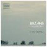 THE PIANO TRIOS, TRIO TALWEG, CD, 5410939756629