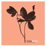 DOWN AT THE ROOT (LIMITED WIT VINYL), ADJOA, NANA, LP, 8438476167811