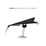 BIG SHADOWS OF SMALL THINGS, BERTOLF, CD, 8714374965583