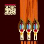 ELECTRIC MONKEY SESSIONS, NEW COOL COLLECTIVE, CD, 8717206922266