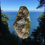 OSMOSIS, I AM OAK, LP, 8718857621614