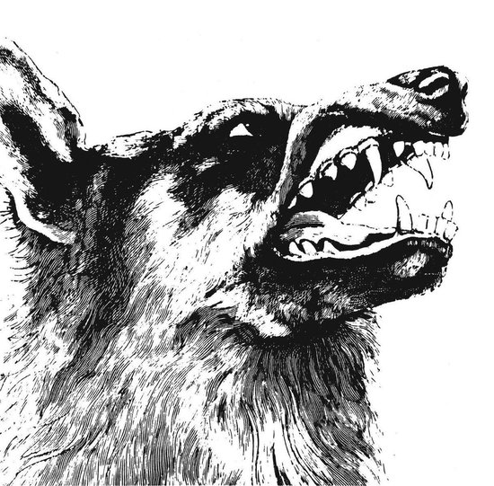 CRIPPLED BLACK PHOENIX - I, VIGILANTE