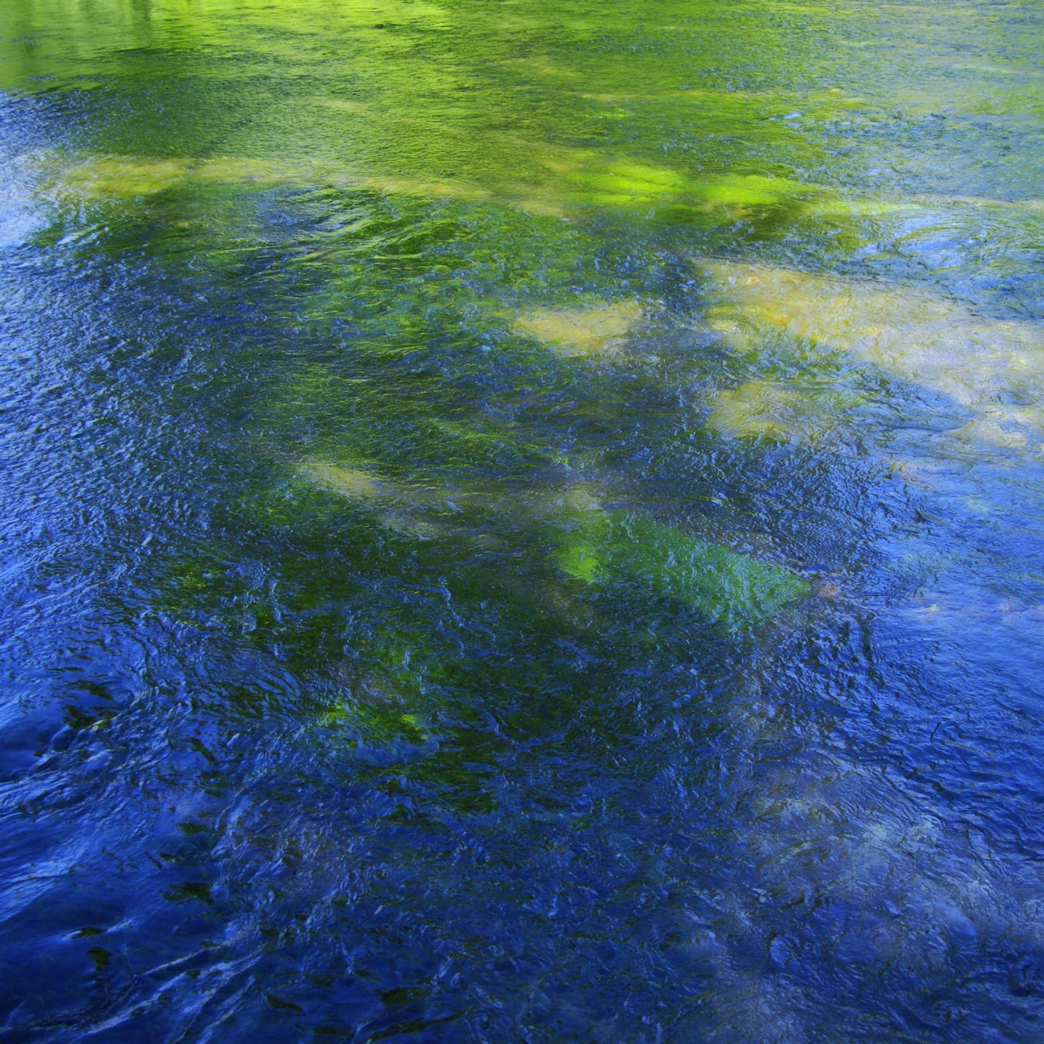 CARIBOU - SUDDENLY REMIXES