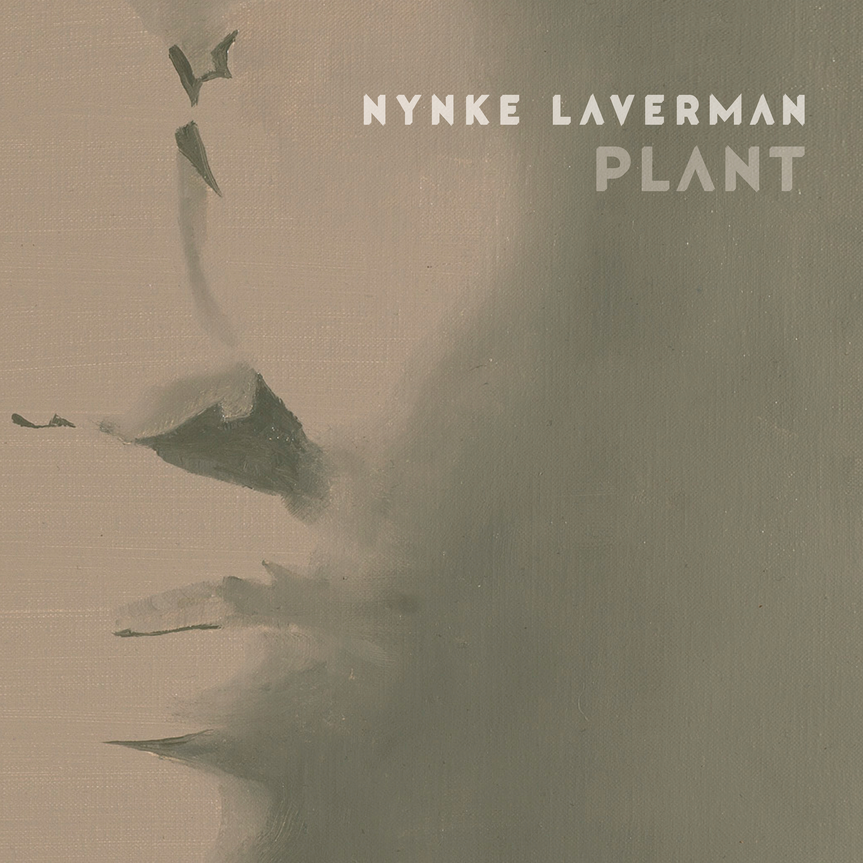 LAVERMAN, NYNKE - PLANT