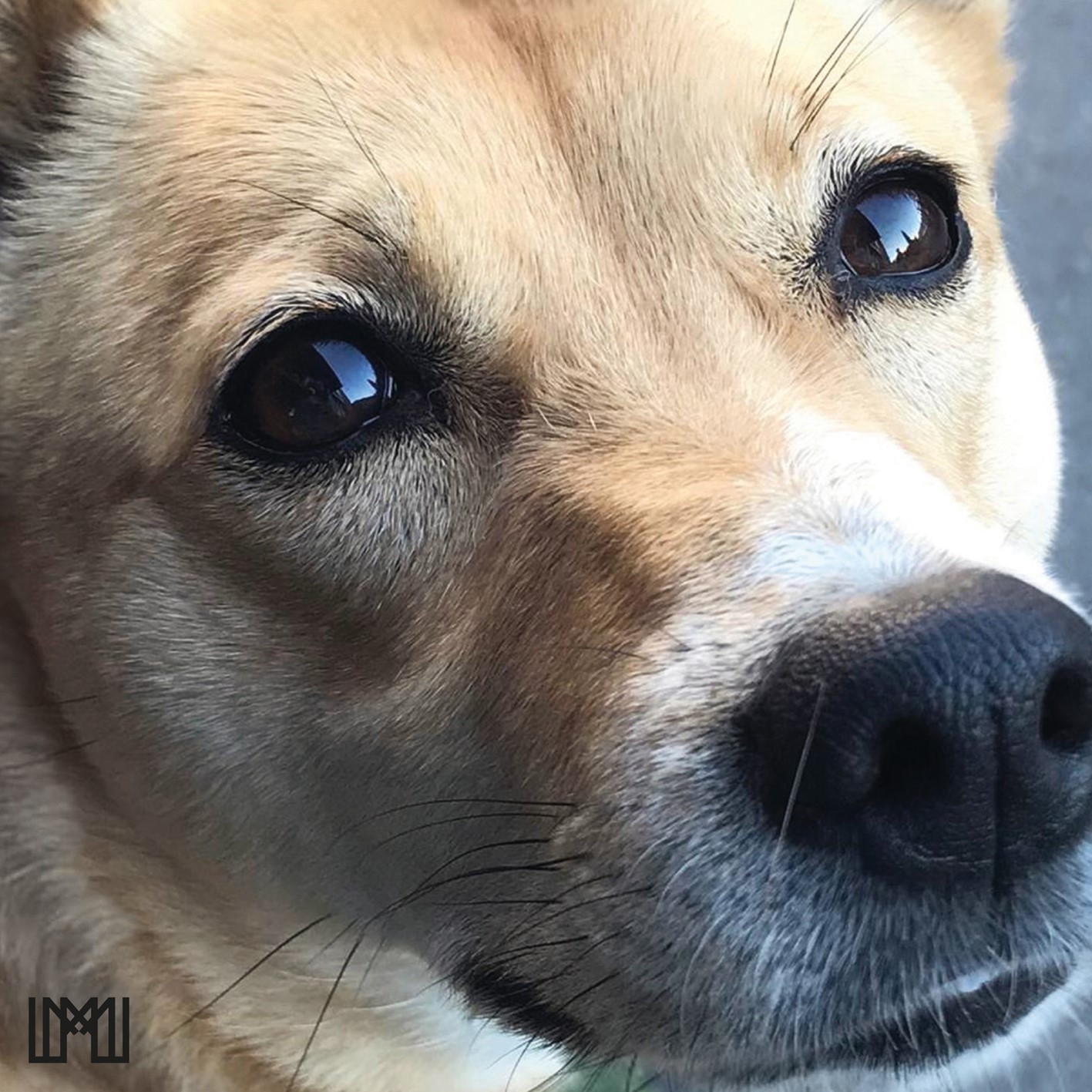 MATTHEW, MARK, LUKE & JOHN - MATTHEW, MARK, LUKE & JOHN