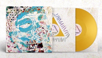 WARPAINT - THE FOOL - ANDREW WEATHERALL MIXES (GOLD)