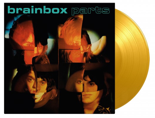 BRAINBOX - PARTS -COLOURED-