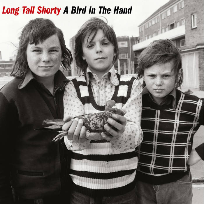LONG TALL SHORTY - A BIRD IN THE HAND