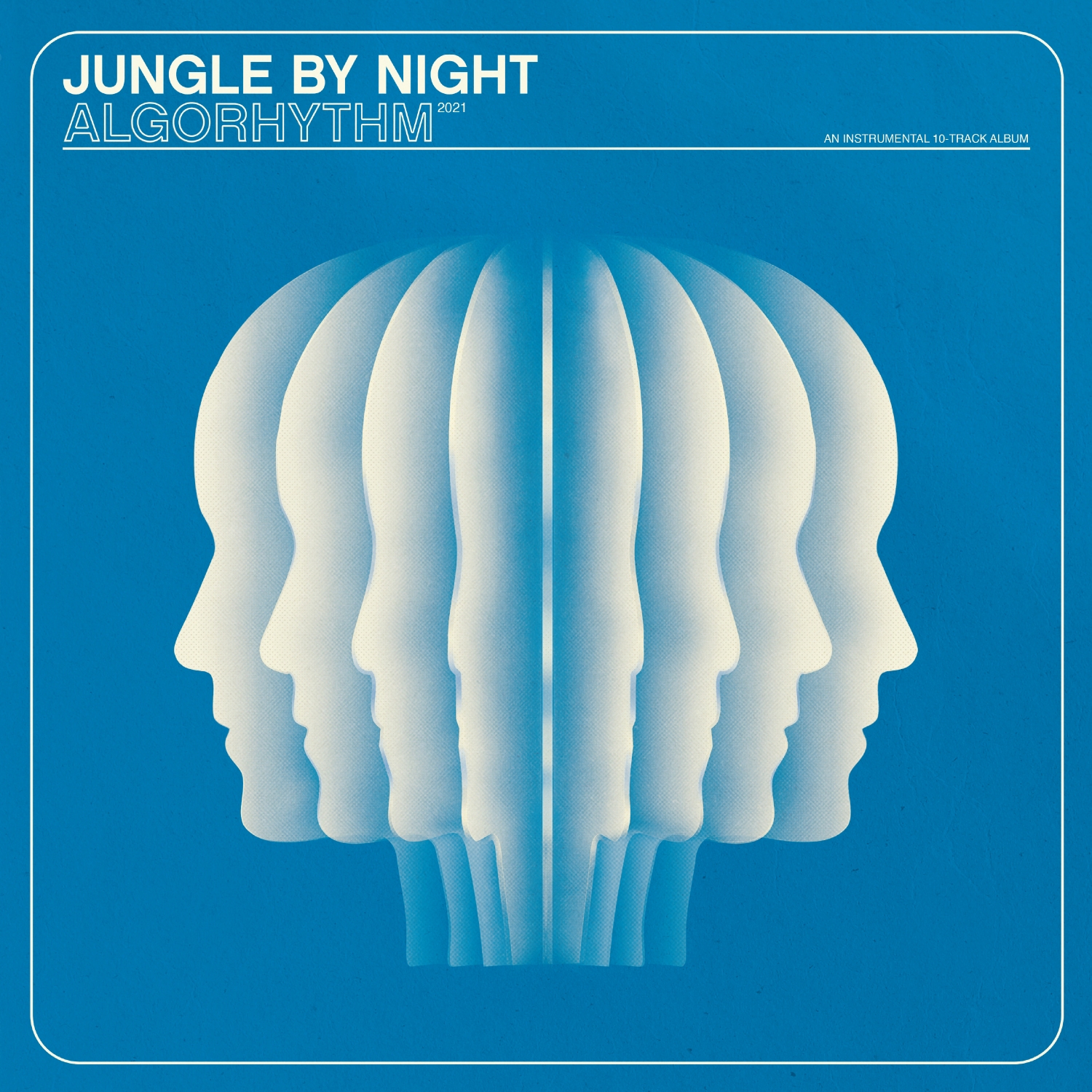 JUNGLE BY NIGHT - ALGORHYTHM