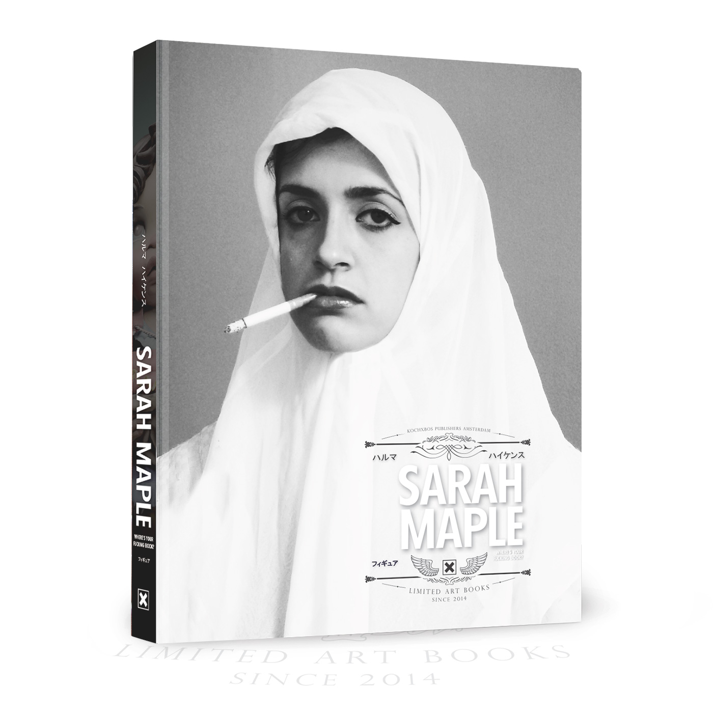 MAPLE, SARAH - YOU COULD HAVE DONE THIS