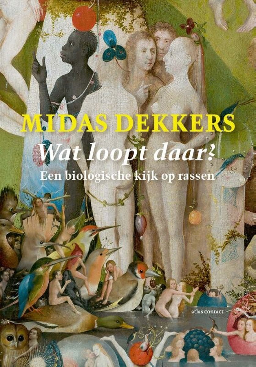DEKKERS, MIDAS - WAT LOOPT DAAR?