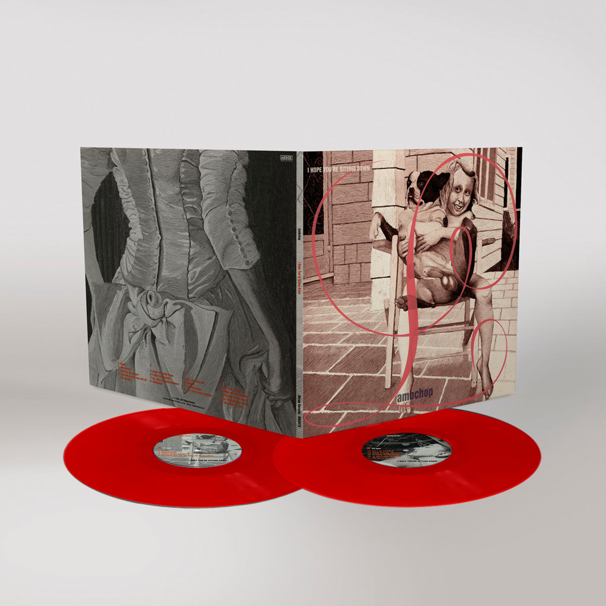 LAMBCHOP - I HOPE YOU RE SITTING DOWN/JACK S T