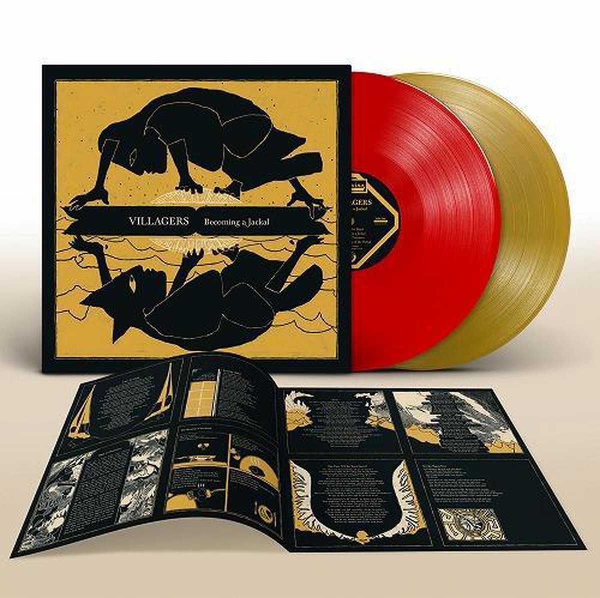 VILLAGERS - BECOMING A JACKAL.. -RSD-