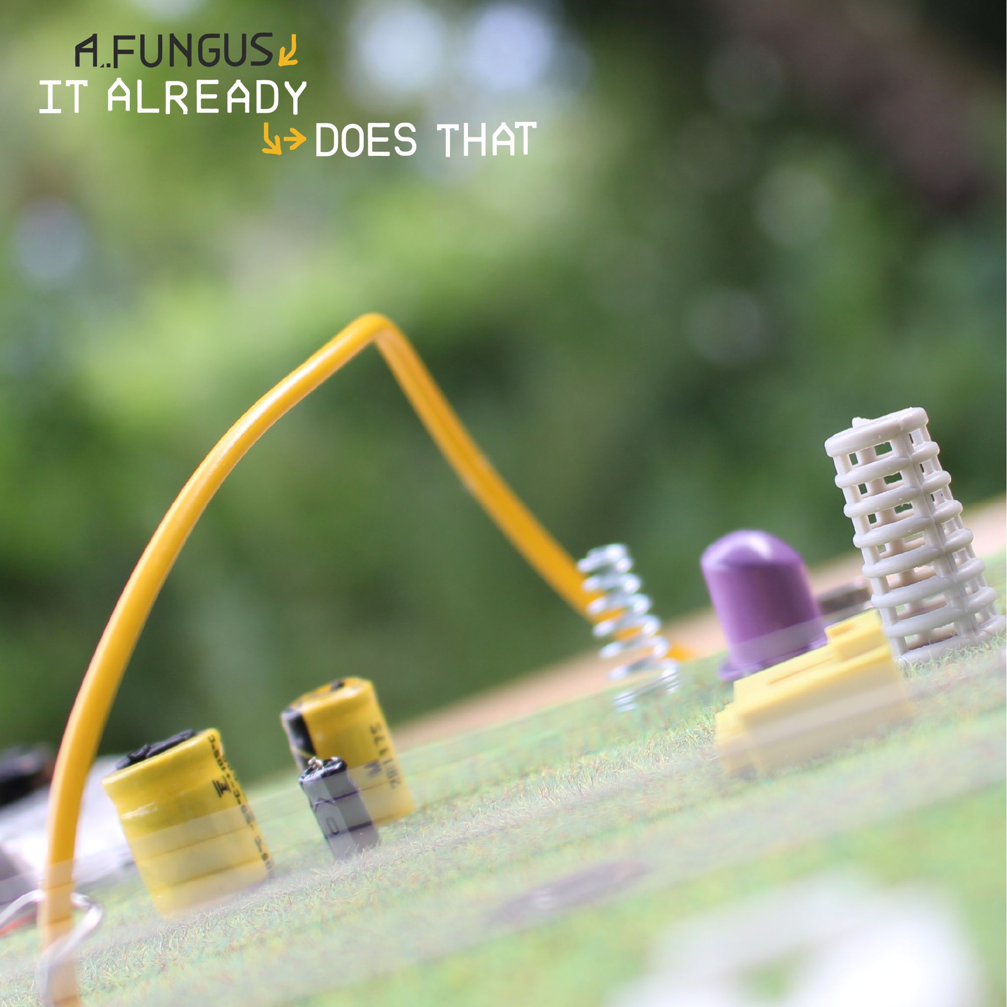 A FUNGUS - IT ALREADY DOES THAT