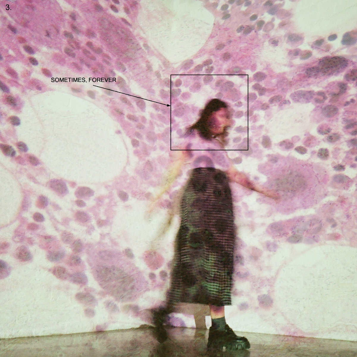 SOCCER MOMMY - SOMETIMES, FOREVER -INDIE-