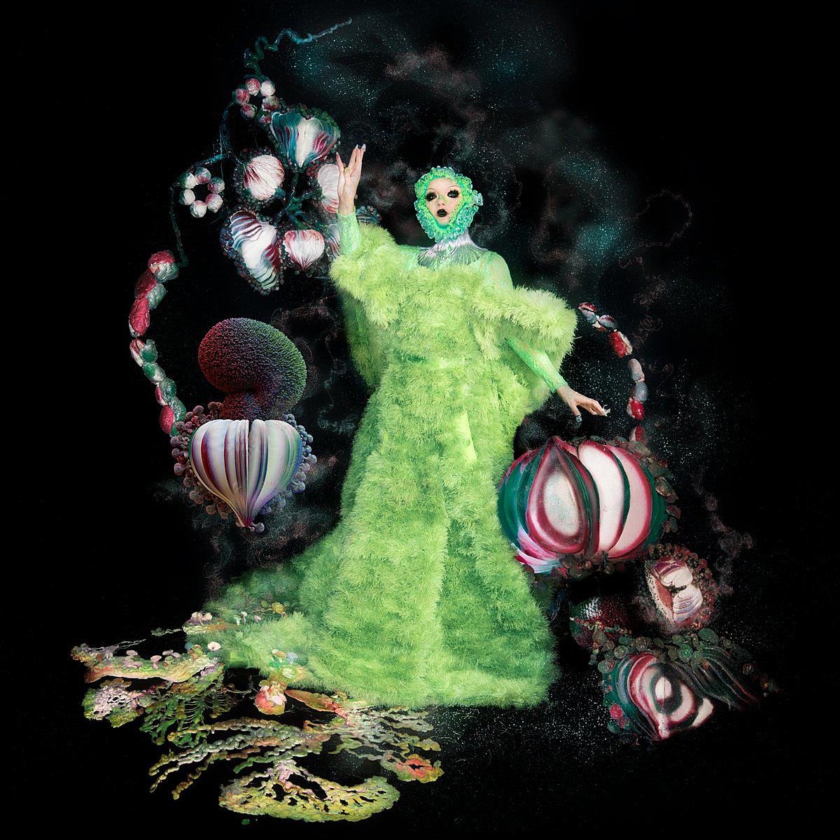 BJORK - FOSSORA