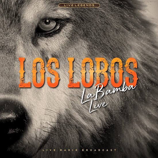 LOS LOBOS - LA BAMBA LIVE