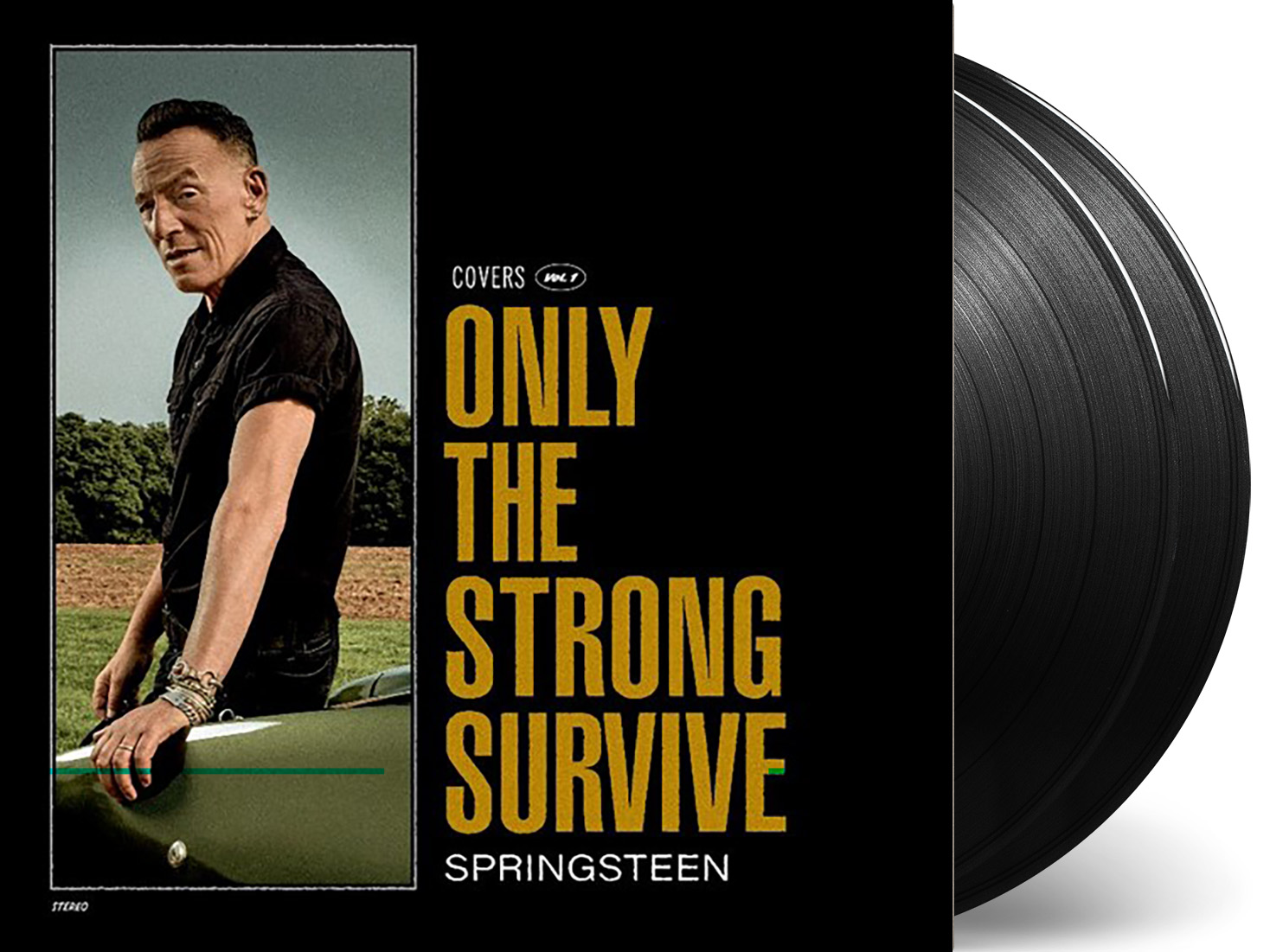 SPRINGSTEEN, BRUCE - ONLY THE STRONG SURVIVE -BLACK VINYL-