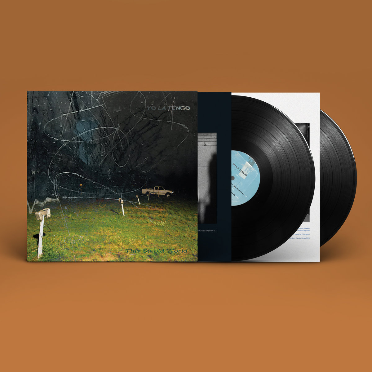 YO LA TENGO - THIS STUPID WORLD