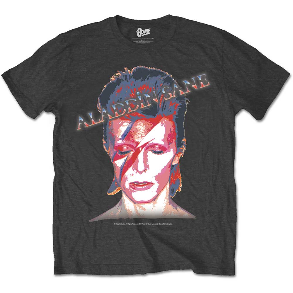 BOWIE, DAVID - ALLADDIN SANE FLASH LOGO -XXL-