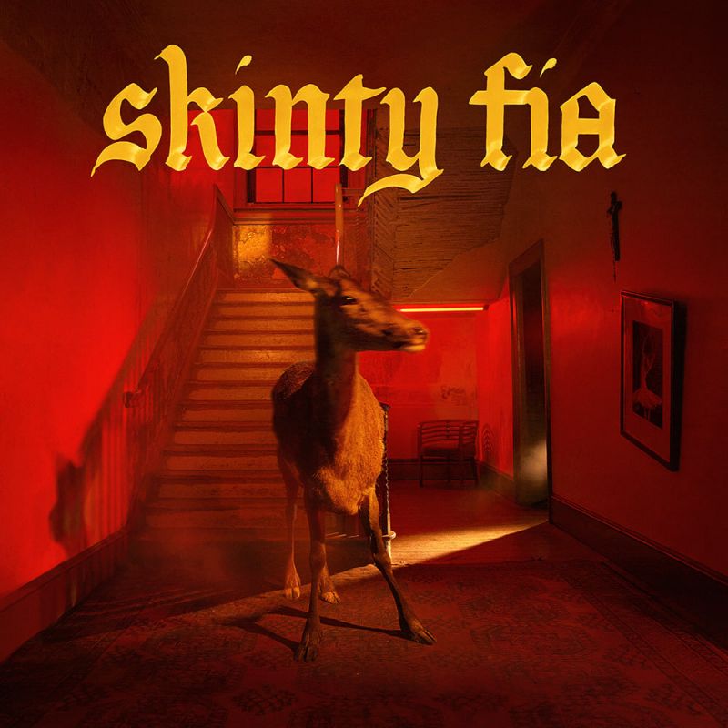 FONTAINES D.C. - SKINTY FIA -BLACK VINYL-