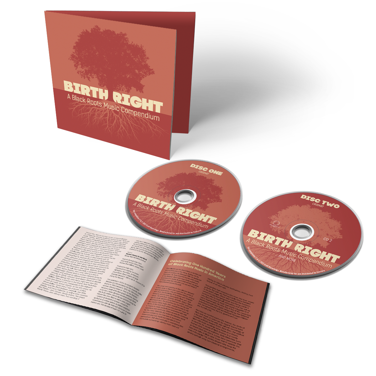 VARIOUS - BIRTHRIGHT  A BLACK ROOTS MUSIC COM