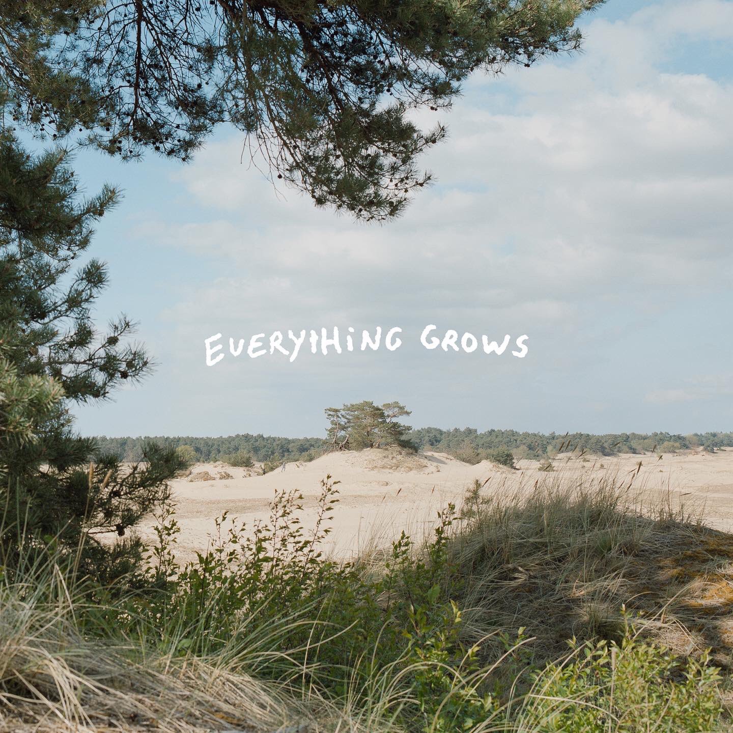 NAGASAKI SWIM - EVERYTHING GROWS