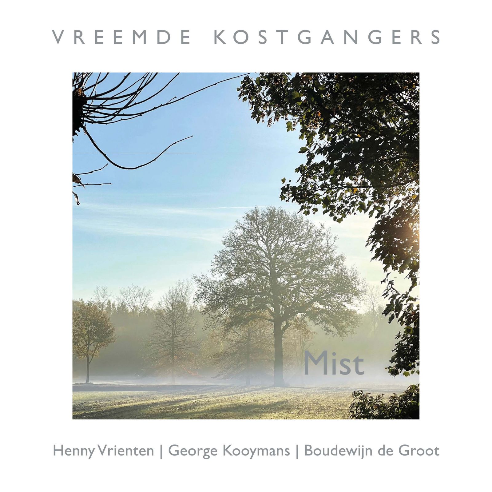 VREEMDE KOSTGANGERS - MIST