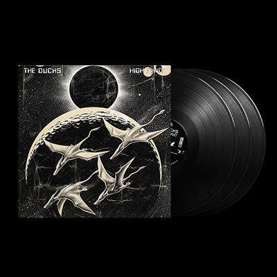 DUCKS, THE - HIGH FLYIN'