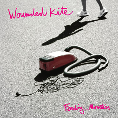 WOUNDED KITE - FEEDING MONSTERS